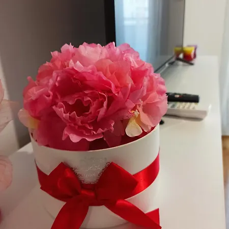 شقة Oaza دوبوي